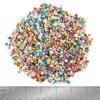 HOCIBES 5000PCS Nail Art Slices ,Cute Design Nail Art Fruits Animals Flowers Heart Nail Art Slices, 3D Polymer Clay Slices for Nail Art ,Slime Making Kit Decoration and Diy Craft . (Animal)
