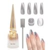 Diamond Silver Cat Eye Gel Nail Polish with Magnetic Stick,9D Holographic Galaxy Glitter Aurora Cateye Gel Nail Polish,Crystal Shiny Nails Glue Gel Polish Kit,Soak Off UV LED for Salon DIY Nail Art-01