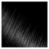 Kiss Express Semi-Permanent Hair Color 100mL (3.5 US fl.oz) (2 Count, Black)