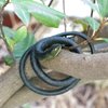 3 Pieces Large Realistic Rubber Snakes, Halloween Scary Toy Fake Black Mamba Snake for Garden Props to Scare Birds, Pranks, Halloween Party Decoration (2 Sizes, 47 Inch, 31.5 Inch)…