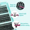 Lash Clusters Diy Eyelash Extensions Individual Lashes Cluster Wispy D Curl Eyelashes Extension Clusters Fluffy Natural 300pcs False Lashes(PP304050,D-Mix10-18mm)