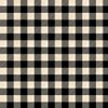 Lake Adventure Black Cream 3/4" Buffalo Plaid 90518-291 from Wilmington by The Yard