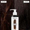 dpHUE Gloss+ Toning, Green - Deep Condition & Neutralize Brass - For Dark Hair, Red Warmth, Dark Brown - Anti-Brass Treatment, Hair Conditioner - Vegan, Leaping Bunny - 6.5 oz