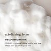 Bioelements Flash Foam Cleanser - 6.5 fl oz - Exfoliating Foam Cleanser for Oily, Combination & Dry Skin - Vegan, Gluten Free