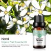 2-Pack Neroli Essential Oil 100% Pure Oganic Plant Natrual Flower Essential Oil for Diffuser Message Skin Care - 10ML
