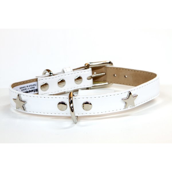 Bluemax Italian Synthetic Patent Dog Collar with Star Stud, 1-Inch by 22-Inch, White