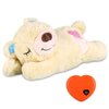 ZALBYUY Puppy Toys with Heartbeat,Puppy Sleep Aid Toy,Small Dog Training Toys for Separation Anxiety Relief,Pets Plush Toys for Dogs Cats (Bear)