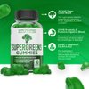 Supergreens Gummies - Daily Green Superfoods Supplement with Spinach, Broccoli, Moringa, Beet Root, Celery, Green Tea, & Acai for Immunity Support - Natural Raspberry Flavor, 60 Supergreen Gummies