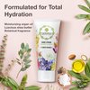 THERAPINA Aromatherapy Hand Cream for Dry Skin – Shea Butter Hand Cream for Women and Men with an Awakening, Long-Lasting Flower Market Scent – Vegan Hand Cream Lotion for Dry Skin, 3 Oz.