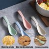Wheat Straw Spoons Unbreakable Dinner Spoons Reusable Asian Soup Spoons Portable Lightweight Cereal Spoons 6 Inches Colourful Unbreakable Meal Spoon for Kid and Adult, Microwave Dishwasher Safe