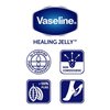 Vaseline Petroleum Jelly 7.5oz Cocoa Butter (3 Pack) by Vaseline