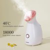 Colorfarm Facial Steamer Nano Ionic: Face Steamer Deep Cleaning Unclogs Pores - Humidifier Hot Mist Home Sauna Spa for Women Men Sinuses Moisturizing