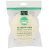 Earth Therapeutics Body Sponge,Exfol,Oval 3Pk