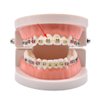 RZJZGZ Orthodontic Ligature Ties Multi-Color Orthodontic Elastomeric O-Rings Braces Rubber Bands(1040pcs) (Multicolor)