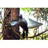 MOJO Wind Dove Spinning Wing Dove Decoy for Dove Hunting
