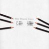 Tombow 51507 MONO Drawing Pencil, 2B, Graphite 12-Pack