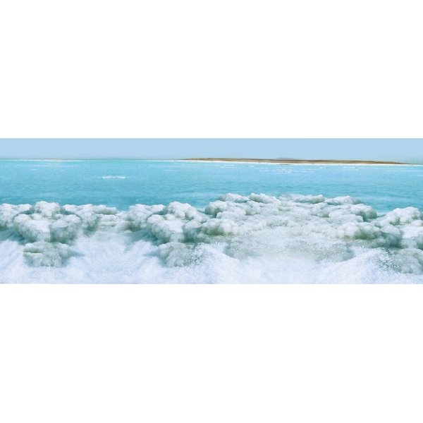 Swisa Beauty Dead Sea Intensive Foot Care Lotion - Contains Aloe Vera As The Base and Eucalyptus Oil For Deep Penetration.