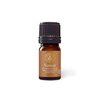 Aromatics International Premium Organic Vetiver Essential Oil 5ml | 100% Pure Essential Oil for Diffusion, Aromatherapy & Wellness Use