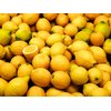 Meyer Lemons (Meyer Lemons 24 Pc's)