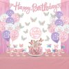 Butterfly Birthday Party Decorations - Butterfly Happy Birthday Banner, Latex Balloons, 3D Butterfly Stickers, Cake Topper, Fringe Curtains and Tablecloth for Girls Spring Garden Party Supplies