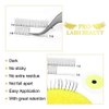 Premade Volume Eyelash Extensions 5D-D-0.10-13 Long Stem .07 .10 Premade Fans Eyelash Extensions Volume Lash Extensions C D Curl Premade Volume Fans (5D-D-0.10,13 mm)