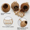 Tfwadmx Natural Coconut Hide with Ladder Perches Hanging Bird House Toy for Cage Parrot Breeding Nest for Gecko Parakeet Lovebird Finch Hamster