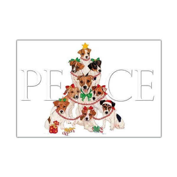 Jack Russell Terrier Christmas Cards : 10 Holiday Cards with Envelopes