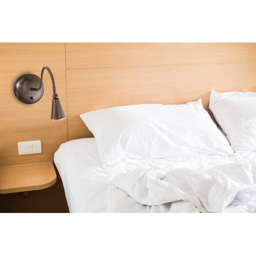 Access Lighting 62089-BRZ Gooseneck Wall Sconce