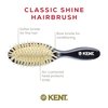Kent CSGS Classic Shine Small Oval Cushion Straightening Brush and Hair Detangler Natural White Boar Bristle Hair Brush, Shine Hair Brush and Scalp Scrubber for Mid-Length Fine or Thinning Hair