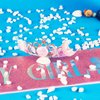 Didder Pink Mermaid Birthday Sash and Crown Party Outfit for Girls, Mermaid Theme Birthday Party Decorations Gifts for Little Girls