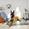 Waterproof Dog Bed Cover Canvas Washable Dog Crate Pad Replacement Cover, 40Lx27Wx4H inch, Gray