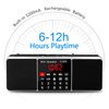 LEFON Multifunction Digital FM Radio Media Speaker MP3 Music Player Support TF Card USB Drive with LED Screen Display and Setting Timing Shutdown Function (Black)