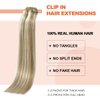 UGOTRAYS Blonde Clip in Hair Extensions Real Human Hair - 15 inch 70g Ash Blonde Mixed Bleach Blonde Straight 7pcs Double Weft - 100% Remy Human Hair Extensions #18p613 15in
