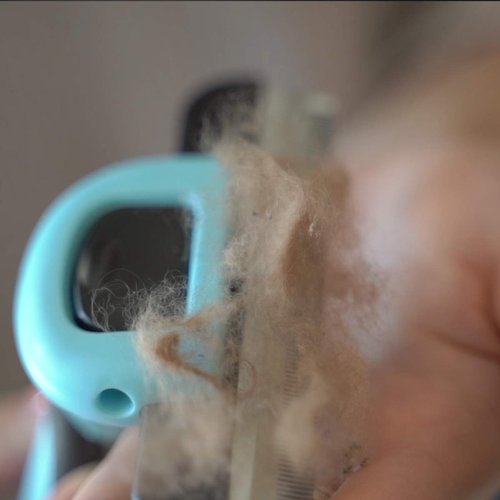 petgle Cat Brush &Cat Comb for Shedding,Pet Deshedding Brush for Cat and Small Dog Reduces Loose Undercoat by 95% Cat Grooming Brush and Deshedding Tools for Long Hair and Short Hair 2.5inch Blue