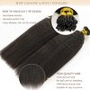Loxxy Hair Extensions Real Human Hair kinky Straight I Tips for Black Women Human Hair Natural Black 14 Inch 80g #1B 100 Strands Pre Bonded Itip Hair Extensions for Thin Hair