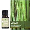 Vetiver Essential Oil, 100% Pure Vetiver Oil for Diffuser, Organic Essential Oil for Relaxation, Farm-Fresh from Thailand, 10ml .33 fl oz, Chrysopogon Zizanioides