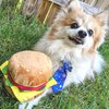 Huxley & Kent for Dogs | Hamburger (Small) | 4th of July Power Plush Dog Toy with Squeaker | Funny Dog Toy | Cute Dog Toy | H&K Squeaky Dog Toy