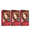 REVLON Colorsilk Beautiful Color Permanent Hair Color with 3D Gel Technology & Keratin, 100% Gray Coverage Hair Dye, 54 Light Golden Brown, 3 Pack