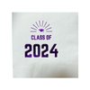 Paper Frenzy Graduation Foil Stamped Party Napkins Class of 2024-25 pack, Blue