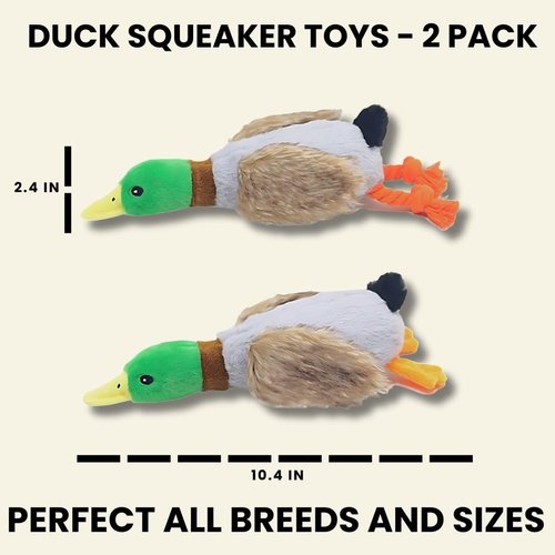 2-Pack Plush Duck Dog Toys with Squeakers, Crinkle Wings for Small Medium Dogs, Interactive Dog Toy, Durable Dog Toys to Keep Them Busy, Dog Chew Toy for Aggressive Chewers
