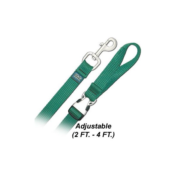 4' Pet Leash w/ Satin Metal Hardware - Medium - Purple Dog Leash