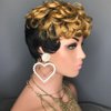 MELANNA Short Curly Wigs for Black Women Pixie Cut Wig Human Hair Short Blonde Pixie Wig Short Wigs Human Hair Natural Curly Short Human Hair Wigs Ombra 1b/27