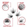 DIY Eyelash Extension, 3D Effect Individual Melt Flare Lash Cluster Natural Lashes Set, Home Eyelash Extension, D curl Lashes Pack 12mm,14mm (16MM-Sparkle)