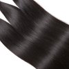 Ornate Hair Human Hair Extensions Virgin Straight Hair Brazilian Virgin 1 Bundles Hair Weave Bundles 100% Human Hair 8 Inches 9A Grade Natural Black Color (1Bundles Straight Natual Color, 8 inch)