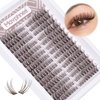 Brown Lash Clusters Wispy Eyelash Extensions Natural Look Individuals Lashes C Curl DIY Cluster Eyelashes 252 Pcs Left & Right Paired Dark Brown Cluster Lashes by Mavphnee