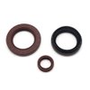 TRANSPEED DPS6 6DCT250 Automatic Transmission Oil Seal Set, DPS6 Front Seals Kit, Input Shaft Seal & Output Shaft Seal Compatible with Ford Fiesta Focus B-Max EcoSport