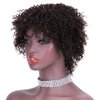 ZHENLISI Dark Brown Color Afro Kinky Curly Short Curly Human Hair Wigs Brazilian Virgin Hair Wigs for Black Women(2#)