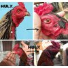 HULX 2 PCS, Rooster Booster Chicken Wound Care Skin Soother Healing 30 CC. Protection & Quickly Recover Skin Heal Wounds Pain After Fighting Fast Dries Work Well for Sore Mouth Face Feet Poultry Bird