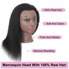 Lamcestyr Mannequin Head 14" 100% Real Hair Hairdresser Cosmetology Mannequin Manikin Training Head Hair and Free Clamp Holder (14 Inch)