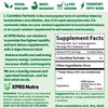 XPRS Nutra L Carnitine L Tartrate Powder - Premium Pure L Carnitine Tartrate - L-Carnitine Powder - Vegan Friendly Bulk L Carnitine Powder - Amino Acid L Carnitine Supplement (4 Ounce)
